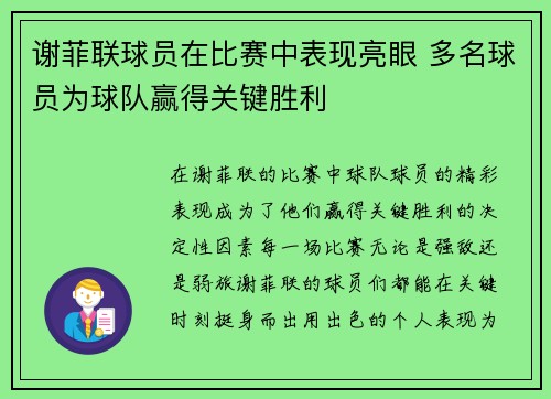 谢菲联球员在比赛中表现亮眼 多名球员为球队赢得关键胜利